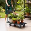image:imageVEVOR Platform Truck 2000 lbs Capacity Steel Flatbed Cart 47 Length x 24 Width x 32 Height Flat Dolly Hand Trucks with 5 Nylon Casters HeavyDuty Utility Push Carts for Luggage Moving287  185  323 in  730  470  820 mm