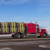 image:imageVEVOR Truck Straps 4 x30 Heavy Duty Tie Down wFlat Hooks 18000lbs Break Strength WLL 6000lbs Cargo Straps tie Down for Flatbeds Trucks Trailers Farms Rescues Tree Saver Yellow10 PackYellow