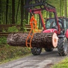 image:imageVEVOR Timber Claw Hook 28 inch 4 Claw Log Grapple Logging Tongs Swivel Steel Log Lifting Tongs 31 Max Opening Eagle Claws with 2205LBS1000kg Loading Capacity for Tractors ATVs Trucks Forklifts36inSwivel
