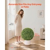 image:imageVEVOR 2 Pcs 20 Artificial Plant Topiary Ball Faux Boxwood Balls with 2 LED Light String AllYear Green Faux Plant Decorative Balls for Backyard BalconyGarden Wedding and Home Dcor23inchball