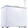 image:imageVEVOR Chest Freezer 33 Cuft Compact Deep Freezer Free Standing Top Open Door Chest Freezers with 2 Removable Baskets amp Adjustable Thermostat  Energy Saving Low Noise amp Garage Ready WhiteWhite