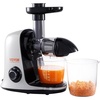 image:imageVEVOR Slow Masticating Juicer 2Speed Mode Cold Press Juicer Machine with Reverse Function Quiet Motor Slow Juicer Juice Extractor Maker Easy to Clean with Brush for High Nutrient Fruit VegetableLight GreyBlack