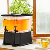 image:imageVEVOR Beverage Dispenser 264 Gallon Drink Dispenser for Parties Plastic Juice Dispensers with Spigot Ice Chamber Iced Tea Lemonade Juice Water Dispensers for Restaurants Hotels Parties3Gal 2Pack