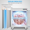 image:imageVEVOR 28 W Commercial Freezer Worktop 74 Cu Ft Undercounter Freezers withCasters lt08gtDefrost Frozen Prep Table Single Door Stainless Steel Food Frozen Prep Station for Restaurant Diner