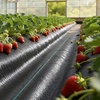 image:imageVEVOR 3x100FT 32oz Weed Barrier Fabric Heavy Duty Landscape Fabric Weed Blocker Fabric Garden Weed Mat Lawn Fabric Weed Control Fabric Driveway Fabric Ground Cover Woven Landscape Cloth Black14FT50FT32oz