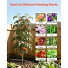 image:imageVEVOR 6 Packs Metal Garden Trellis for Climbing Plants Outdoor 71x20in Rustproof Plant Tall Trellis for Rose Vine Flowers and Vegetables4 PacksStyle2
