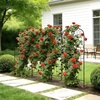 image:imageVEVOR 6 Packs Metal Garden Trellis for Climbing Plants Outdoor 71x20in Rustproof Plant Tall Trellis for Rose Vine Flowers and Vegetables4 PacksStyle2