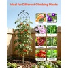 image:imageVEVOR 6 Packs Metal Garden Trellis for Climbing Plants Outdoor 71x20in Rustproof Plant Tall Trellis for Rose Vine Flowers and Vegetables6 PacksStyle2