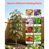 image:imageVEVOR 6 Packs Metal Garden Trellis for Climbing Plants Outdoor 71x20in Rustproof Plant Tall Trellis for Rose Vine Flowers and Vegetables8 PacksStyle2