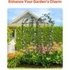 image:imageVEVOR 71 x 20 in 4 Packs Rustproof Metal Garden Flower Trellis Outdoor Climbing Rose amp Cucumber Support Decorative Clematis Trellis for Courtyards amp Lawns71Hx 20W