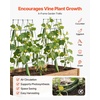 image:imageVEVOR Cucumber Trellis 35 x 55 Foldable AFrame Garden Trellises for Raised Bed 4 Panels Metal Rustproof Outdoor Climbing Plant Support with Gloves for Vine Peas Beans Tomato Flowers39 x 32