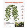 image:imageVEVOR Cucumber Trellis 81 inch Tall Garden Arch Trellis UShape Garden Trellises for Raised Bed Metal Arch Outdoor Climbing Plants Support for Vine Peas Beans Zucchini Tomato Squash FlowersArch Trellis