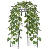 image:imageVEVOR Cucumber Trellis 81 inch Tall Garden Arch Trellis UShape Garden Trellises for Raised Bed Metal Arch Outdoor Climbing Plants Support for Vine Peas Beans Zucchini Tomato Squash FlowersArch Trellis