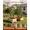 image:imageVEVOR Cucumber Trellis 81 inch Tall Garden Arch Trellis UShape Garden Trellises for Raised Bed Metal Arch Outdoor Climbing Plants Support for Vine Peas Beans Zucchini Tomato Squash FlowersArch Trellis