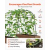 image:imageVEVOR Cucumber Trellis 81 inch Tall Garden Arch Trellis UShape Garden Trellises for Raised Bed Metal Arch Outdoor Climbing Plants Support for Vine Peas Beans Zucchini Tomato Squash FlowersArch Trellis