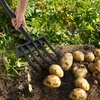 image:imageVEVOR Garden Fork 5Tine Gardening Pitchfork with Metal Handle 41 in Heavy Duty Digging Fork with Y Grip Forged Steel Spading Fork for Hay Potato Composting Transplanting Aeration5Tine
