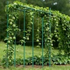 image:imageVEVOR Garden Stakes 10 Pack 937 inch Plastic Coated Metal Tomato Stakes Garden Sticks for Plants Support with Pointed End and NonSlip Bumps for Growing Climbing Plants Outdoor Vegetables21m11mm
