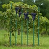 image:imageVEVOR Garden Stakes 10 Pack 937 inch Plastic Coated Metal Tomato Stakes Garden Sticks for Plants Support with Pointed End and NonSlip Bumps for Growing Climbing Plants Outdoor Vegetables24m20mm