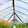 image:imageVEVOR Greenhouse Plastic Sheeting 16 x 25 ft 6 Mil Thickness UV Resistant Clear Polyethylene Film Hoop Green House Cover for Farms Agriculture Garden10 x 25 ft