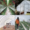 image:imageVEVOR Greenhouse Plastic Sheeting 16 x 25 ft 6 Mil Thickness UV Resistant Clear Polyethylene Film Hoop Green House Cover for Farms Agriculture Garden16 x 28 ft