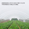 image:imageVEVOR Greenhouse Plastic Sheeting 16 x 25 ft 6 Mil Thickness UV Resistant Clear Polyethylene Film Hoop Green House Cover for Farms Agriculture Garden25 x 40 ft