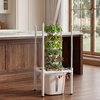 image:imageVEVOR Hydroponic Tower 30 Pods 6 Tiers Hydroponics Growing System Kit with App Control Vertical Home Garden with 20L Water Tank amp Pump Planter Germination Kit for Indoor Herbs Fruits VegetablesPro6 Tiers30 PodsWith Grow Light
