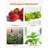 image:imageVEVOR Hydroponics Growing System Kit 3Tier 90 Sites UPVC Pipe Hydroponic Grow Kit with Timed Irrigation Sun amp Light Blocking Pipes Indoor Home Garden Vegetable Planting Grow Kits for Fruit HerbBlack  White  Premium Version
