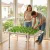 image:imageVEVOR Hydroponics Growing System Kit 3Tier 90 Sites UPVC Pipe Hydroponic Grow Kit with Timed Irrigation Sun amp Light Blocking Pipes Indoor Home Garden Vegetable Planting Grow Kits for Fruit HerbBlack  White  Premium Version