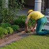 image:imageVEVOR Landscape Edging 100 ft x 15 in Plastic Garden Border Edging with 120 Spikes No Dig Flexible Lawn Edgings Roll UVResistant Mini Fence Borders Pathway Edgings for Flower Beds Yard Paver60ft17inLshaped