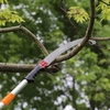 image:imageVEVOR Manual Pole Saw 38727 ft Extendable Pole Tree Pruner Sharp 65Mn Steel Blade Lightweight Fiberglass Handle Pole DoubleHook Saw for High Branch Trimming Pruning Tool for Palms ShrubsSteel Blad