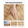 image:imageVEVOR Natural Reed Fencing 4 ft x 1312 ft 2 Pack Decorative Natural Reed Fencing Roll Decorative Fence for Backyard Divider Privacy Screen Panel Curtain for Balcony Patio Garden Backyard OutdoorNatural
