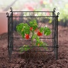 image:imageVEVOR Tomato Cages 118 x 118 x 461 10 Packs Square Plant Support Cages Silver PVCCoated Steel Tomato Towers for Climbing Vegetables Plants Flowers Fruitsblack
