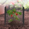 image:imageVEVOR Tomato Cages 118 x 118 x 461 10 Packs Square Plant Support Cages Silver PVCCoated Steel Tomato Towers for Climbing Vegetables Plants Flowers Fruitsblack