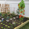 image:imageVEVOR Tomato Cages 118 x 118 x 461 10 Packs Square Plant Support Cages Silver PVCCoated Steel Tomato Towers for Climbing Vegetables Plants Flowers FruitsGreen