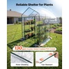 image:imageVEVOR Walkin Greenhouse 54 x 811 x 772 Greenhouse for Outdoors with Windows PE Cover 2 Tiers 14 Shelves RollUp Zipper Door Walk in Green House Portable Plant Garden Hot House for BackyardClear
