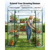image:imageVEVOR Walkin Greenhouse 54 x 811 x 772 Greenhouse for Outdoors with Windows PE Cover 2 Tiers 14 Shelves RollUp Zipper Door Walk in Green House Portable Plant Garden Hot House for BackyardClear