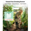 image:imageVEVOR Walkin Greenhouse 54 x 811 x 772 Greenhouse for Outdoors with Windows PE Cover 2 Tiers 14 Shelves RollUp Zipper Door Walk in Green House Portable Plant Garden Hot House for BackyardGreen