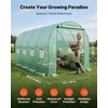 image:imageVEVOR Walkin Greenhouse 54 x 811 x 772 Greenhouse for Outdoors with Windows PE Cover 2 Tiers 14 Shelves RollUp Zipper Door Walk in Green House Portable Plant Garden Hot House for BackyardGreen