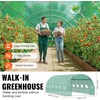 image:imageVEVOR Walkin Tunnel Greenhouse 194x97x65 ft Hoop House Greenhouse Tunnel Plant Hot House with Galvanized Steel Frame White PE Cover Rollup Zipper Door and 12 Windows for OutdoorGreen