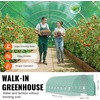 image:imageVEVOR Walkin Tunnel Greenhouse 194x97x65 ft Hoop House Greenhouse Tunnel Plant Hot House with Galvanized Steel Frame White PE Cover Rollup Zipper Door and 12 Windows for OutdoorGreen