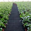 image:imageVEVOR Weed Barrier Fabric Heavy Duty 4x100FT 58oz Woven Landscape Fabric Garden Fabric Weed Barrier Weed Control Fabric Ground Cover Geotextile Fabric for Landscaping Weed Block Gardening MatWoven