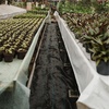 image:imageVEVOR Weed Barrier Fabric Heavy Duty 4x100FT 58oz Woven Landscape Fabric Garden Fabric Weed Barrier Weed Control Fabric Ground Cover Geotextile Fabric for Landscaping Weed Block Gardening MatWoven