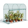 5.9 x 2.98 x 4.9Ft-Arch