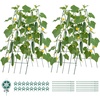 image:imageVEVOR Cucumber Trellis 35 x 55 Foldable AFrame Garden Trellises for Raised Bed 4 Panels Metal Rustproof Outdoor Climbing Plant Support with Gloves for Vine Peas Beans Tomato Flowers39 x 32