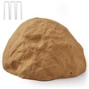 Irregular oval/Medium size/sandy yellow
