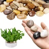 image:imageVEVOR Natural River Rocks 12 inch 15 lbs Decorative MultiColor Pebble Stones Smooth amp Polished Garden Landscaping Stones Paving Plant Rocks for Fish Tank Flower Pots Water Fountains Pathways