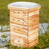 image:imageVEVOR 10 Frame Bee Hive Beeswax Coated Fir Wood Bee Hives Starter Kit Bee Boxes Langstroth Beehive Kit Transparent Acrylic Windows with Foundations for Beginners Pro BeekeepersDeep Box x 2 Medium Box x 2