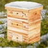 image:imageVEVOR 10 Frame Bee Hive Beeswax Coated Fir Wood Bee Hives Starter Kit Bee Boxes Langstroth Beehive Kit Transparent Acrylic Windows with Foundations for Beginners Pro BeekeepersDeep Box x 2 Medium Box x 1
