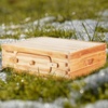 image:imageVEVOR 10 Frame Bee Hive Beeswax Coated Fir Wood Bee Hives Starter Kit Bee Boxes Langstroth Beehive Kit Transparent Acrylic Windows with Foundations for Beginners Pro BeekeepersMedium Super Box