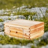 image:imageVEVOR 10 Frame Bee Hive Beeswax Coated Fir Wood Bee Hives Starter Kit Bee Boxes Langstroth Beehive Kit Transparent Acrylic Windows with Foundations for Beginners Pro BeekeepersDeep Brood Box